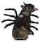 Spider Dog Costume by Ashland®